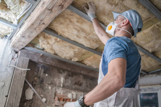 Best Spray Foam Insulation in Willow, AK