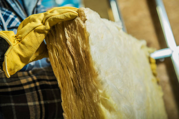 Types of Insulation We Offer in Willow, AK